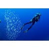 divingcenter subacquee 009  dsc0421