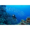 divingcenter subacquee 011  dsc0428