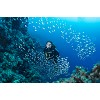 divingcenter subacquee 012  dsc0429