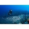 divingcenter subacquee 016  dsc0452