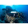 divingcenter subacquee 020  dsc0477