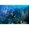 divingcenter subacquee 021  dsc0479