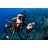 divingcenter subacquee 023  dsc0481