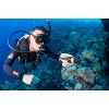 divingcenter subacquee 024  dsc0484