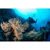 divingcenter subacquee 026  dsc0493
