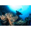 divingcenter subacquee 027  dsc0494