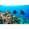 divingcenter subacquee 030  dsc0508