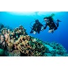 divingcenter subacquee 031  dsc0511