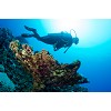 divingcenter subacquee 040  dsc0552