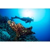 divingcenter subacquee 041  dsc0553