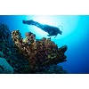 divingcenter subacquee 042  dsc0557