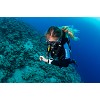 divingcenter subacquee 043  dsc0570
