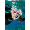 snorkeling sub 062  dsc9920