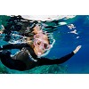 snorkeling sub 063  dsc9922